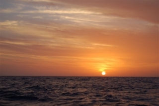 PuNESS no mar